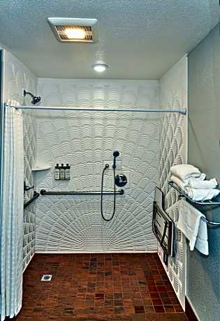 King Room with Roll-In Shower - Disability Access