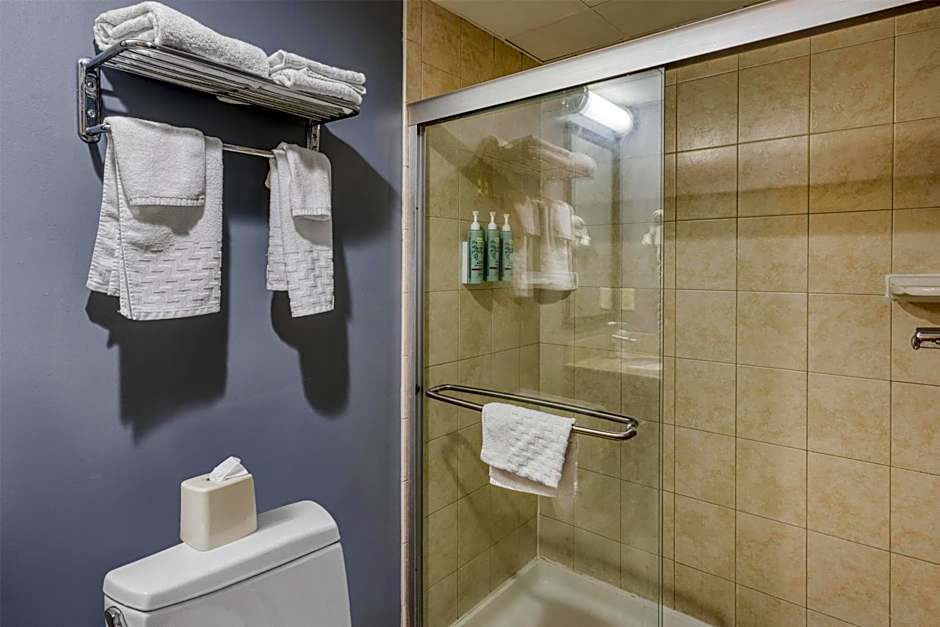 Best Western Owego Inn