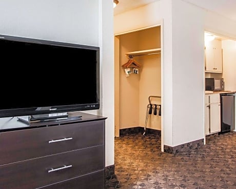 1 King Bed, Suite, Nonsmoking