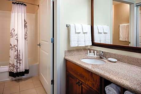 Studio, 1 King Bed with Sofa bed (1 King Bed and 1 Double Sofa Bed)