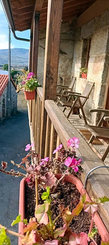 Habitación Da Moura