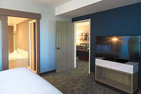 One-Bedroom King Suite with Trundle Sofa
