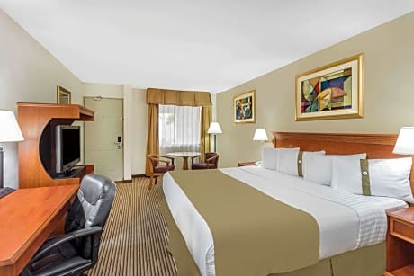 Spacious 1 King Bed Executive