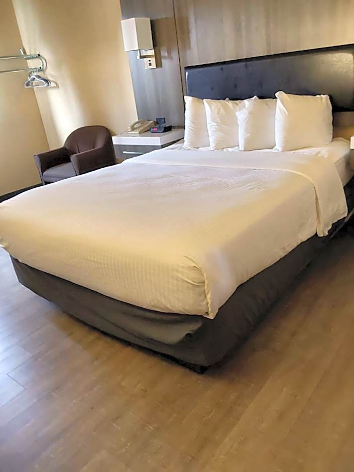 Lavissh Inn and Suites