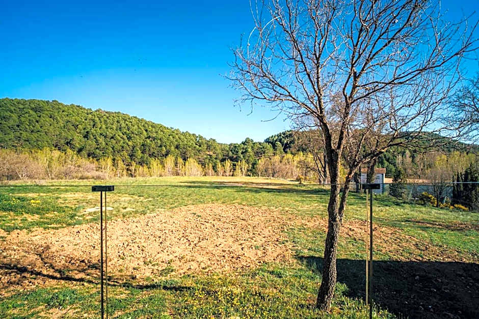 Pachán Dehesa Boyal