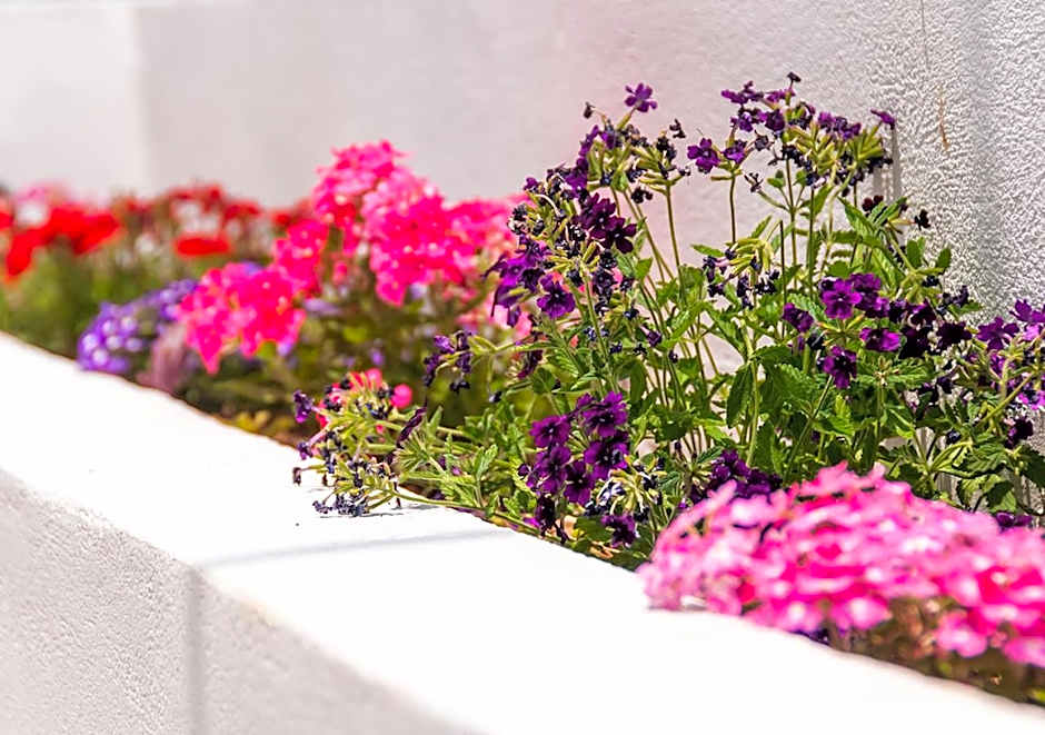 Epavli Boutique Hotel