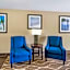 Comfort Inn & Suites St. Pete - Clearwater International Airport