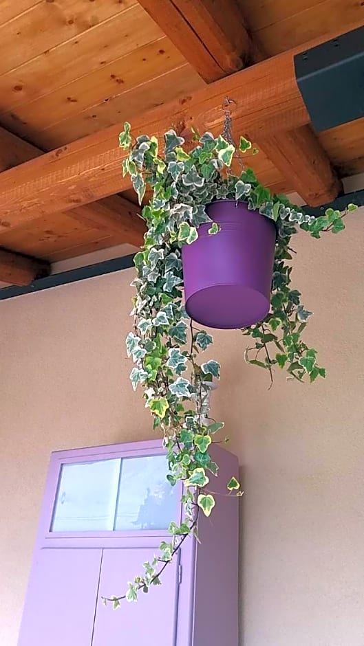 Bed & Breakfast Barbara