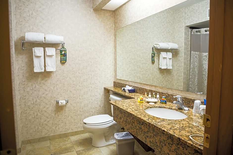 Mineral Palace Hotel & Gaming