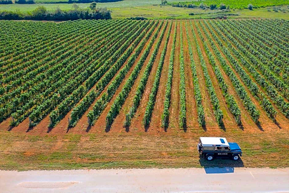Winery & Design hotel ROXANICH