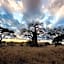 Baobab Tented Camp