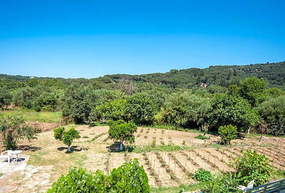 Vassilis Paradise Garden Aparthotel