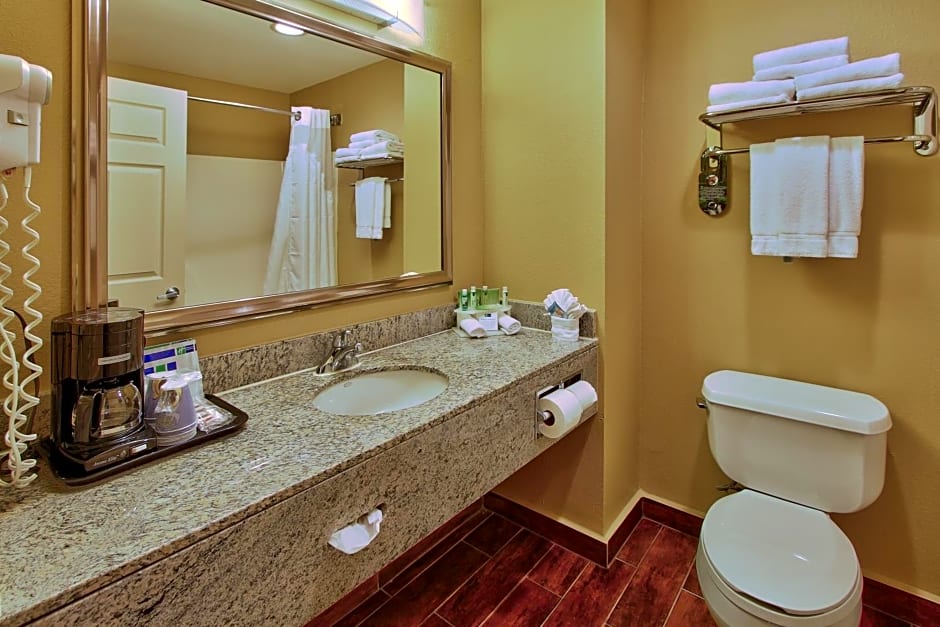 Holiday Inn Express Hotel & Suites Houston-Downtown Convention Center By IHG
