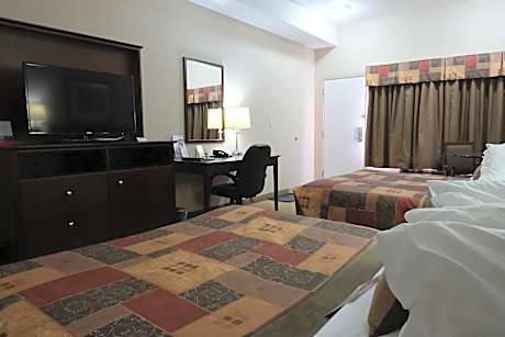 Queen Efficiency Pet-Friendly Studio with Two Queen Beds - Non-Smoking