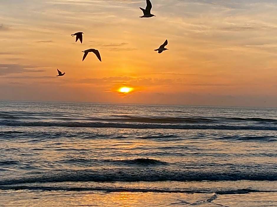 I Need A Vacay Now! Remodeled Studio