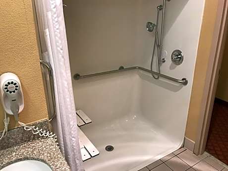 King Room with Roll-In Shower - Disability Access