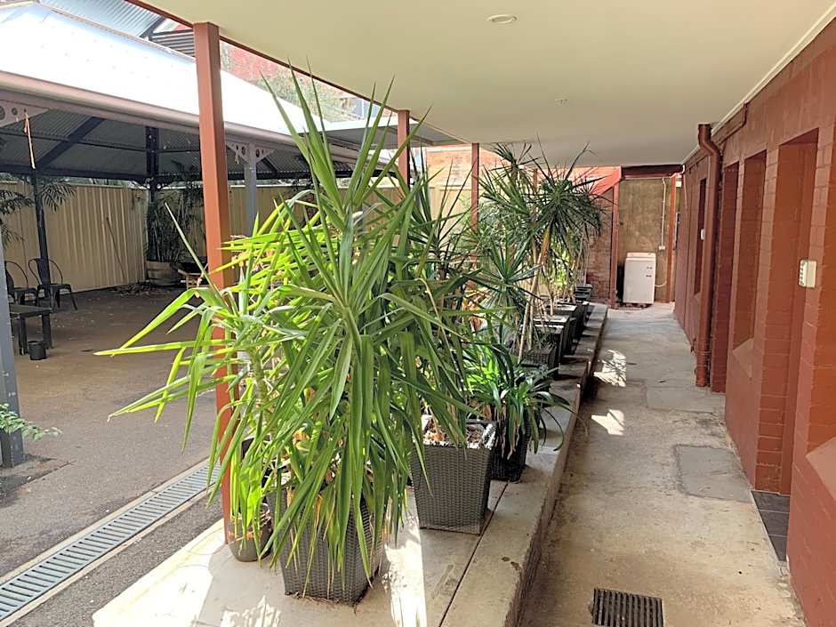 CROWN CBD Hotel - Oil Friendly Price