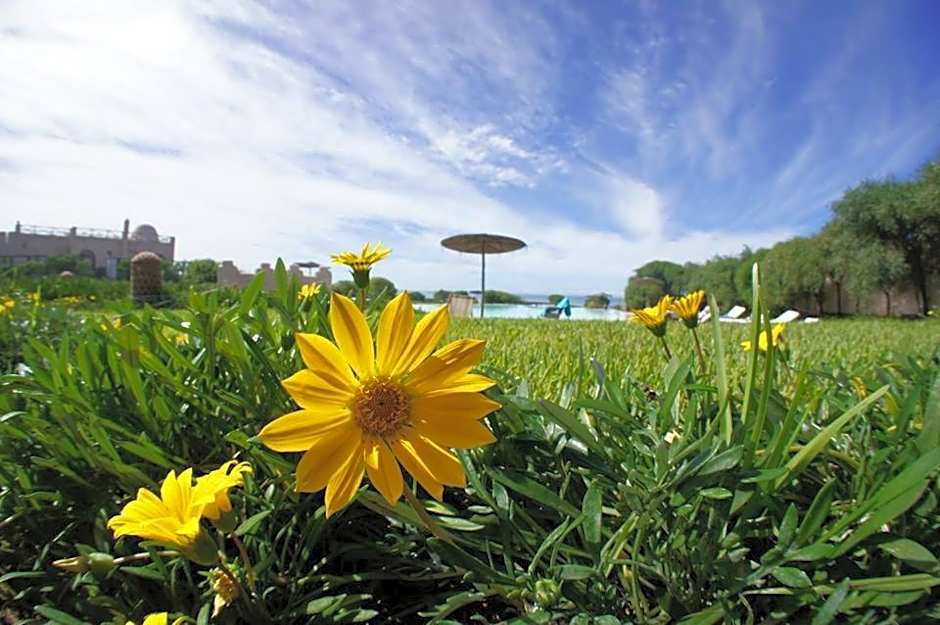 Dar Danse, the Bubble on the Beach