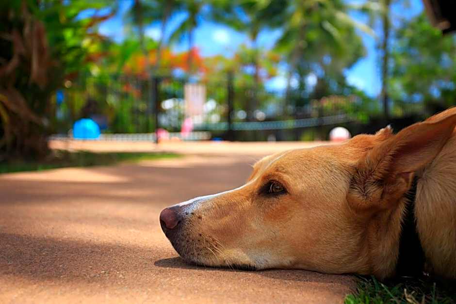 Scotty's Mission Beach