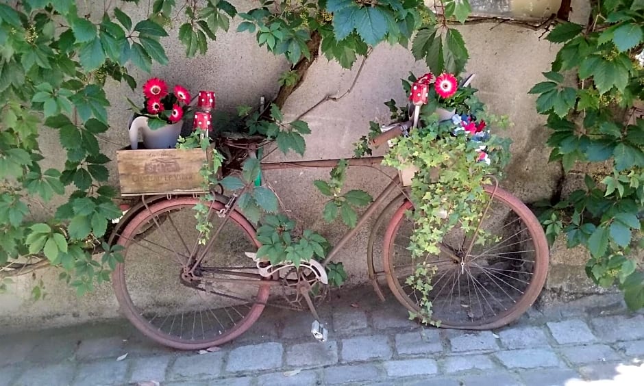 La Vieille Gorce Gîtes in the Vienne