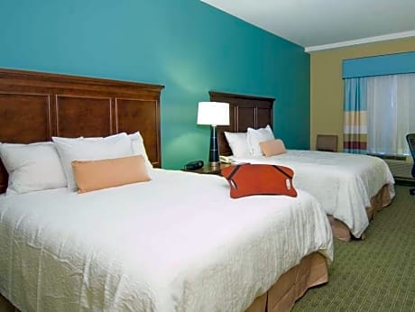 1 King Bed Studio Suite Smoking
