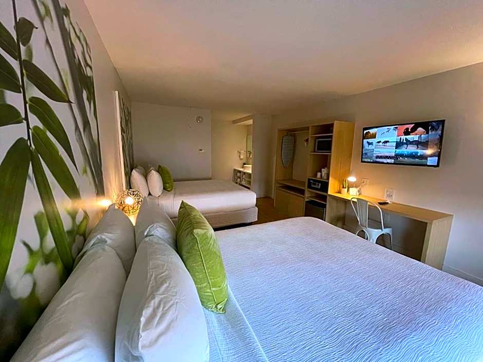 Newly renovated room in cozy hotel near Disney 2
