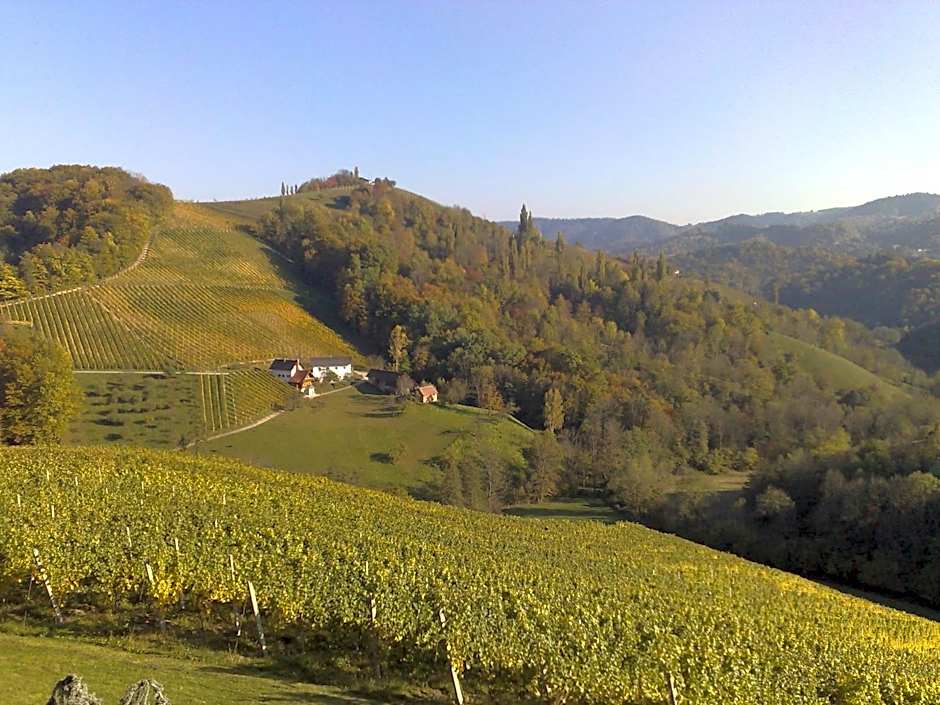 Weingut Essgut Schlafgut Sabathihof-Dillinger