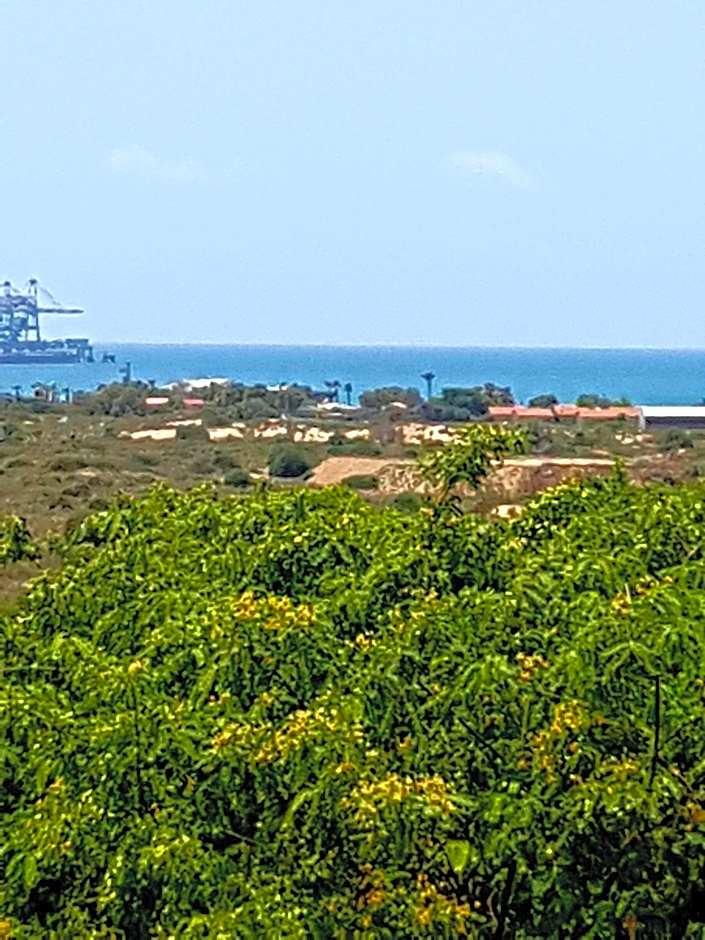 Neot Golf, Ziv's Place