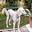 Villa Paradiso Charme&Design Adults only