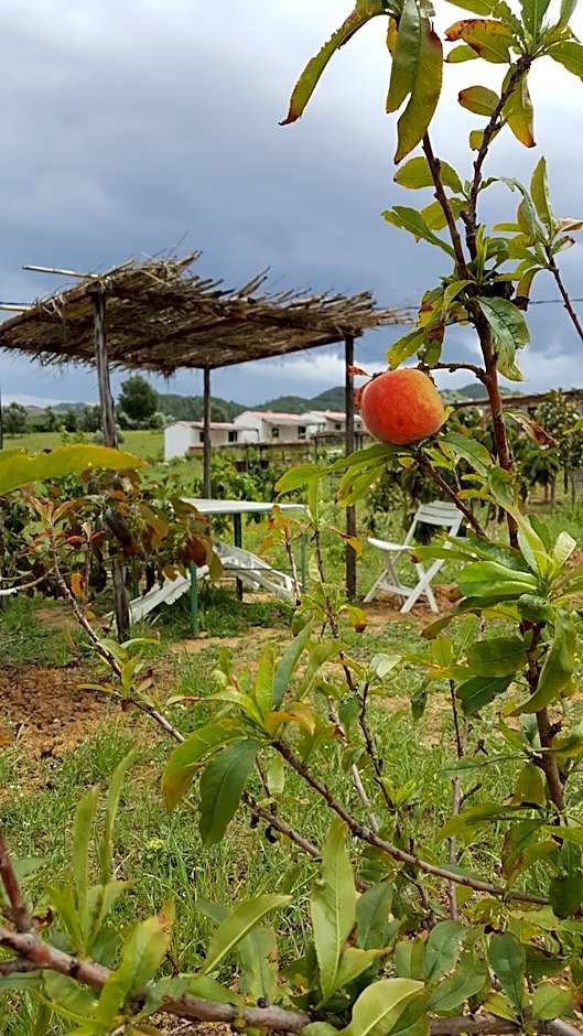 Ferma Jebala Ecolodge