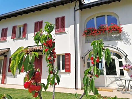 La Mafalda in Oltrepo