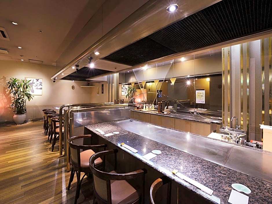 Hotel Seiryu Japanese Spa inn with spectacular view in Osaka