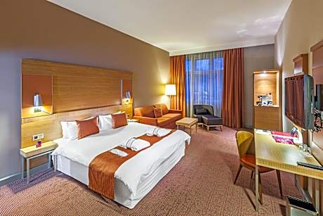 Privilege Superior Room with 1 double bed and fold-out sofa