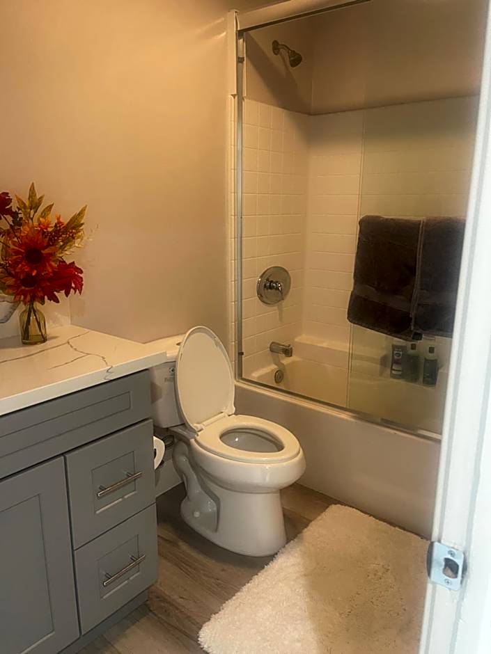 PRIVATE ROOM IN NEW APPARTMENT WITH FULL BATH