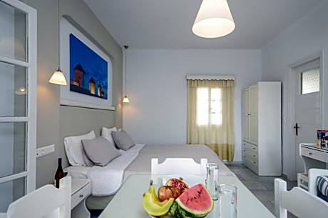 Studio with Garden View