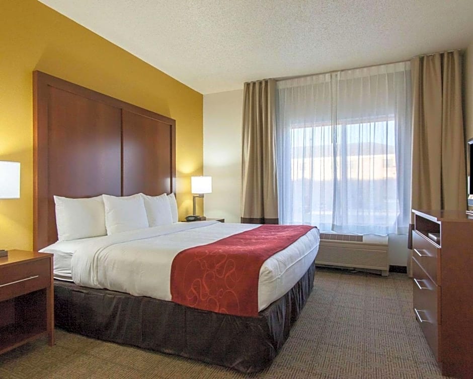 Comfort Suites Central / I-44