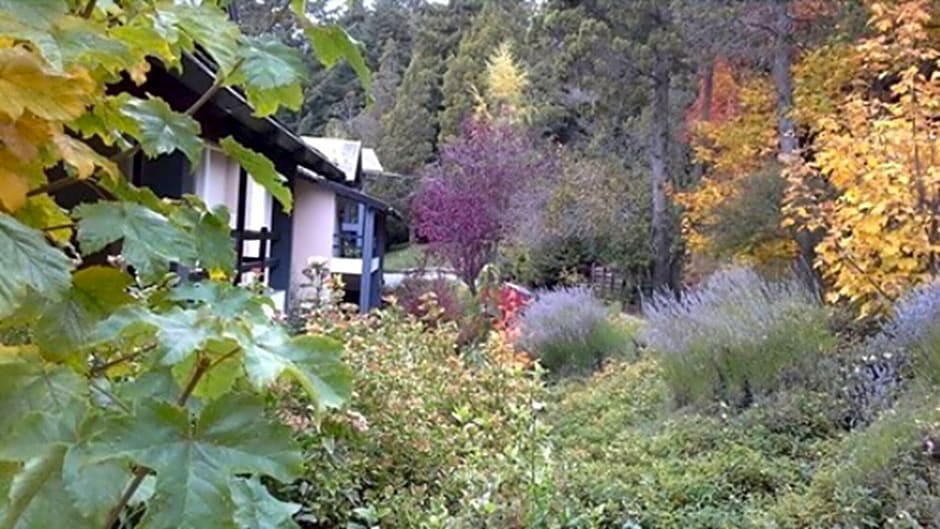 Aldea Andina Hotel&Spa