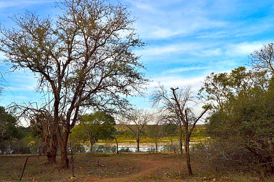 Foxy Crocodile Bush Lodge & Kruger Safaris