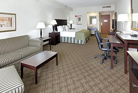 Premium King Room with Sofa Bed - Allergen Treated
