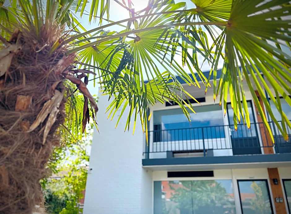 Flamingo Studio's Zeeland