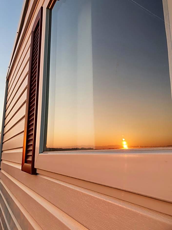 Les Insolites du Brochet