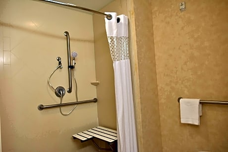 2 Qns Mobility Access Roll In Shower Nosmok