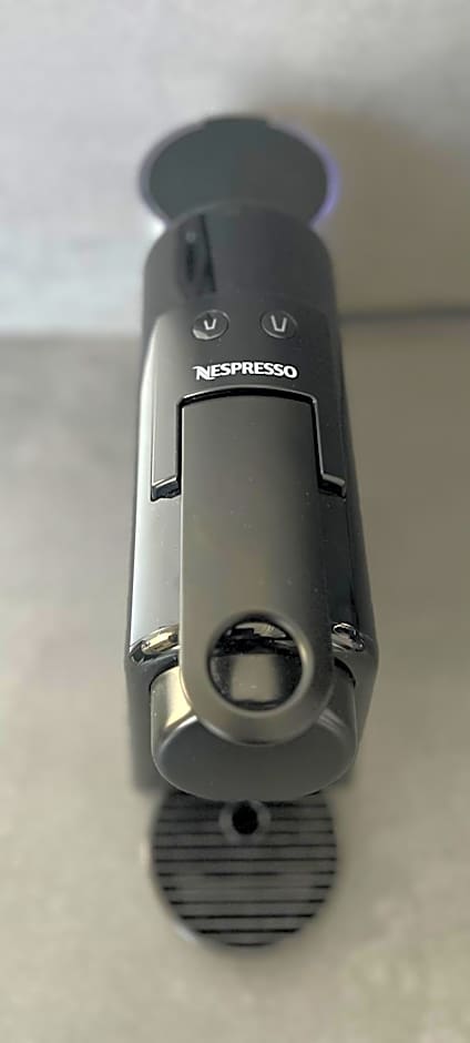 Mon Suites Jardín de Ayora