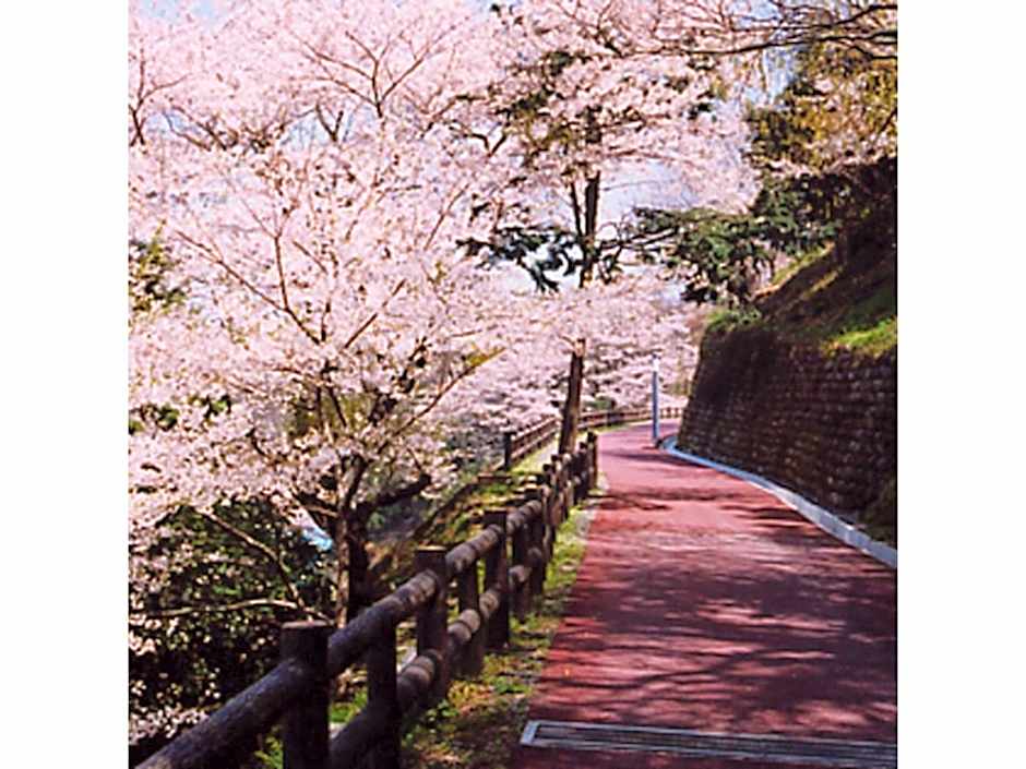 Hamachiyokan - Vacation STAY 56027v