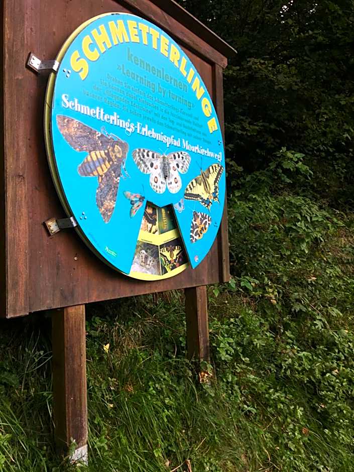 Apartment Haus am See