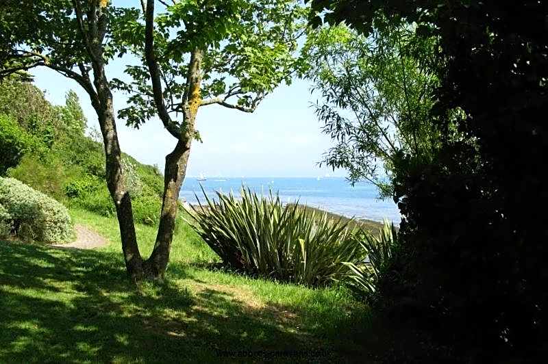 Driftwood B&B Weymouth