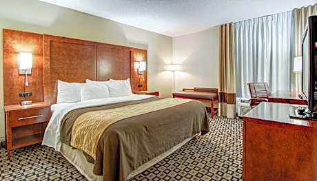 1 King Bed, Efficiency, Suite, Nonsmoking