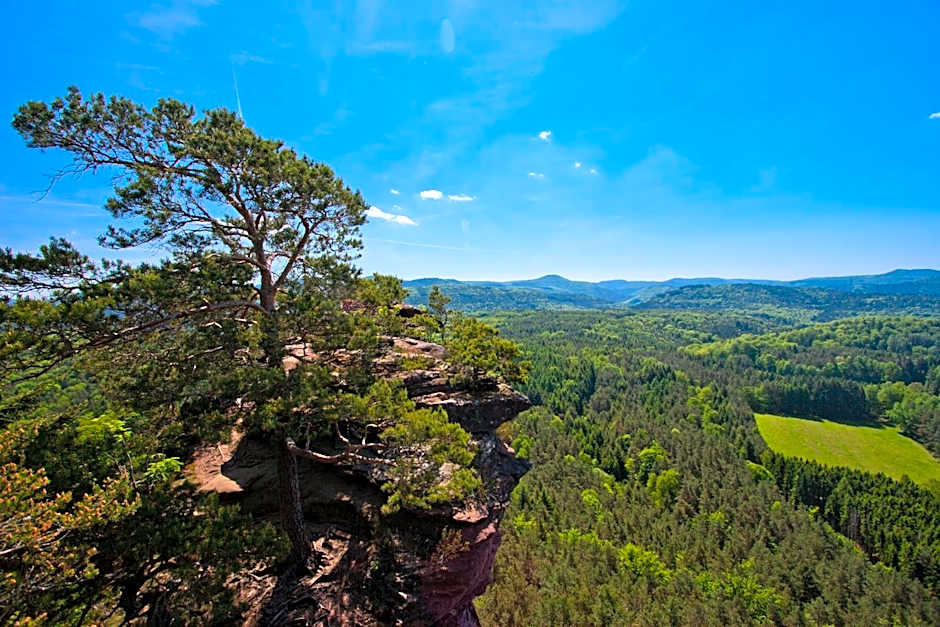 Hotel Am Hirschhorn - Wellness - Spa - and more