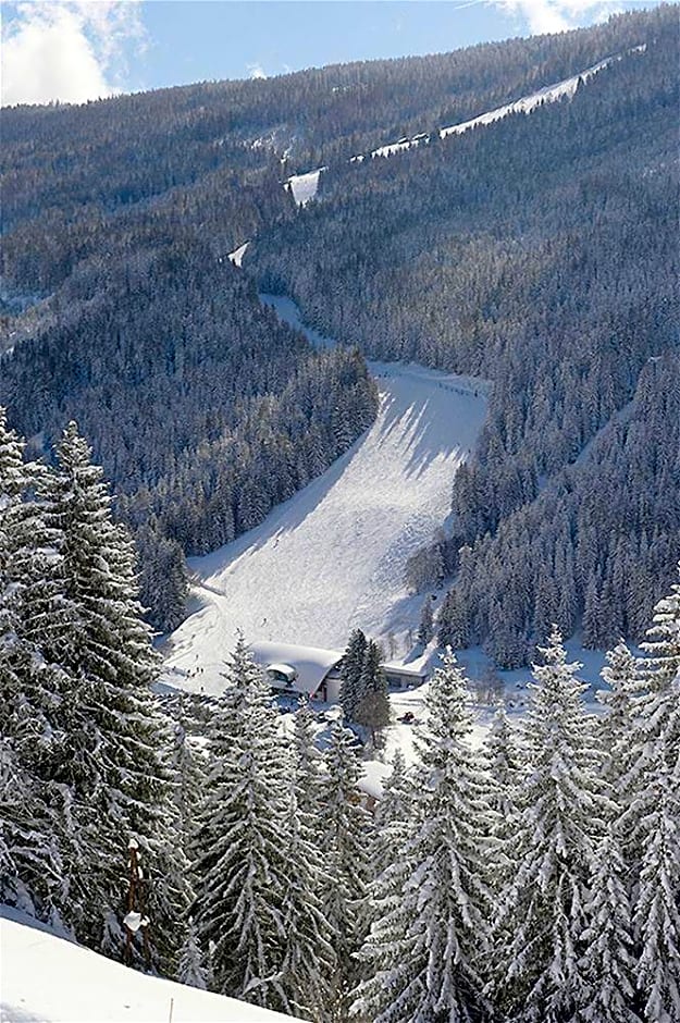 Aparthotel Neue Post