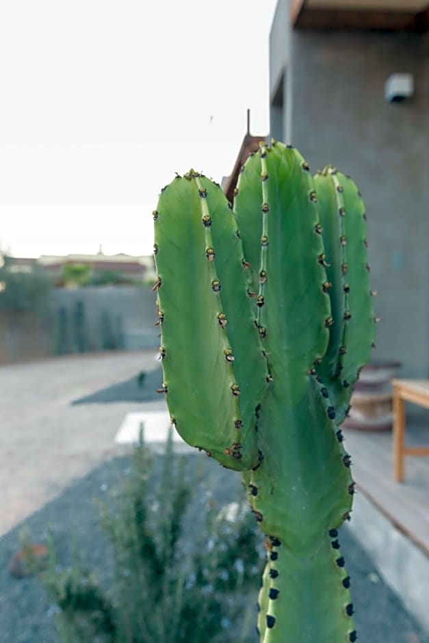 Casa Michaus Valle de Guadalupe